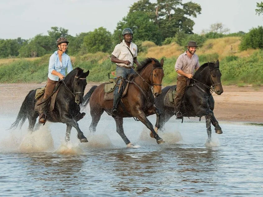 Horse Safari